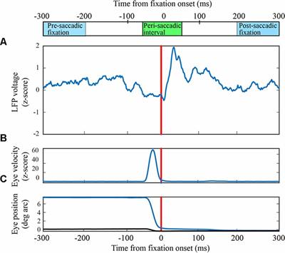 Transsacadic Information and Corollary Discharge in Local Field Potentials of Macaque V1